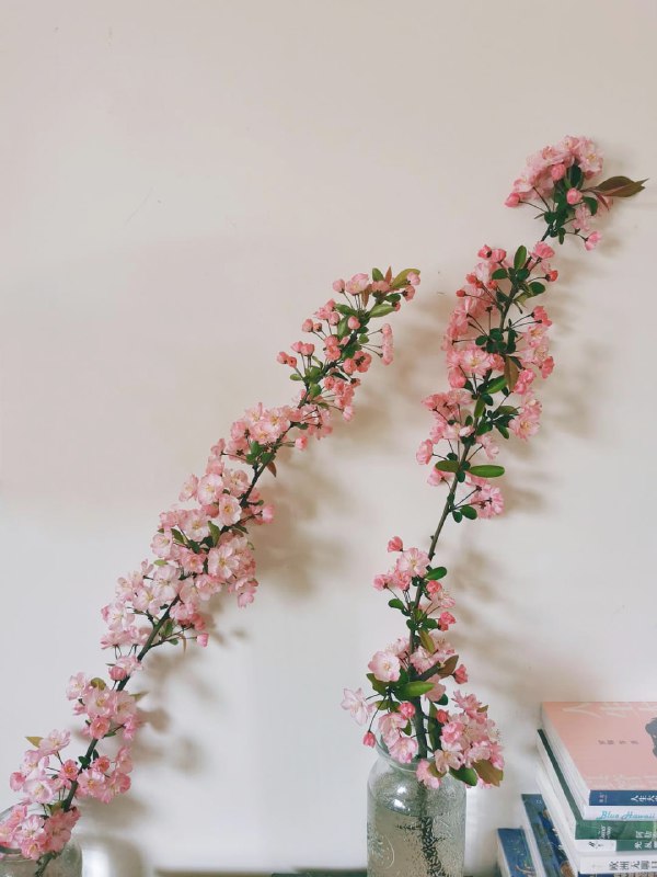 别人问我在农村靠什么活着？靠雪山大地、日升月落、四时耕种活着