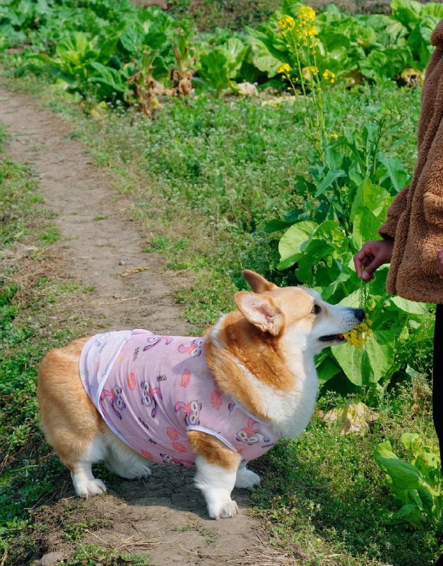 别人问我在农村靠什么活着？靠雪山大地、日升月落、四时耕种活着