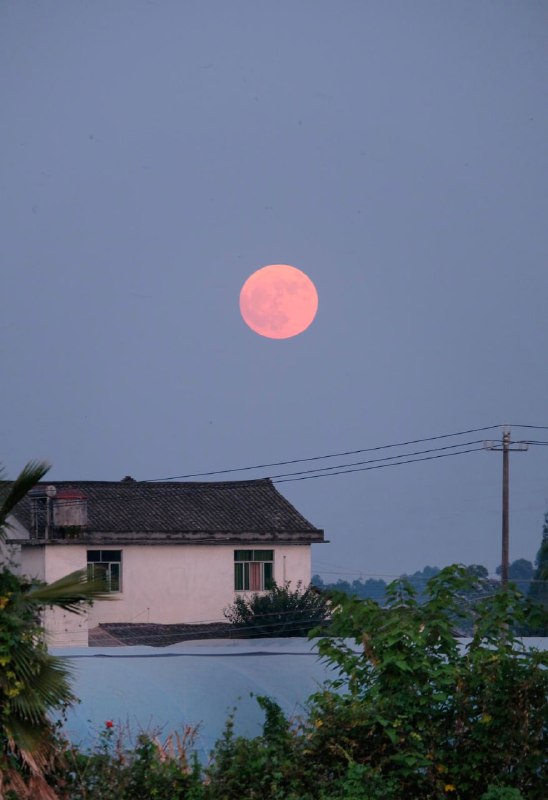 别人问我在农村靠什么活着？靠雪山大地、日升月落、四时耕种活着