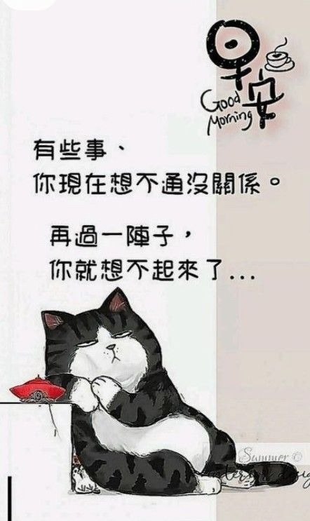 #早安 #晚安