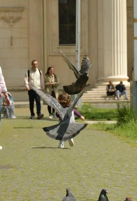 via 7号沙雕网友